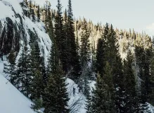 Boost Your Hiking Experience with Trekking Poles 🌲🥾: Get Yours Now!