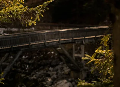 Step Up Your Hiking Game with Top-Notch Trekking Shoes 🚶‍♀️👟: Best Picks of the Season!