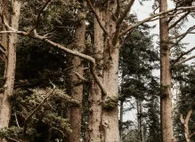 Discover the Distinctions between Trekking and Hiking: Unravel the Key Differences in Outdoor Adventures