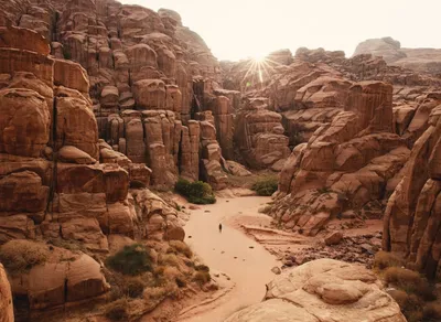 Discover the Differences Between Trekking and Hiking - Unveiling the Ultimate Adventure Comparison!