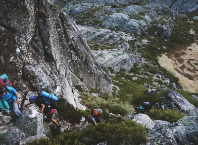 Hiking Stick vs Trekking Pole: Which is the Best Choice for Your Adventure?