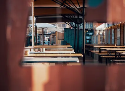 Gear up for your next adventure with the best trekking and hiking poles 🌲⛰️🥾