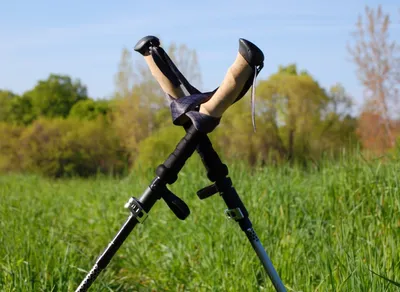 Get your hike on with these top-rated trekking poles 🏔️🚶‍♀️ #hiking #trekkingpoles