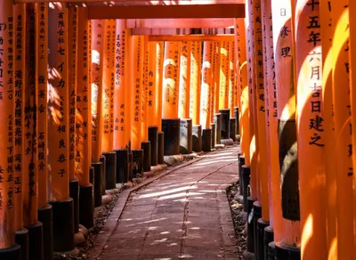 Discover the Key Differences: Walking, Hiking, and Trekking