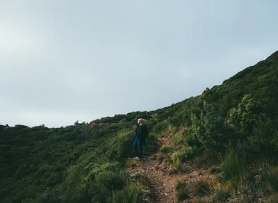Step Up Your Adventure Game with the Best Hiking and Trekking Shoes ⛰️👟