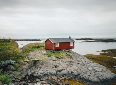 Unleash Your Inner Adventurer with These Top-Rated Trekking and Hiking Poles ⛰️🌲🚶‍♂️