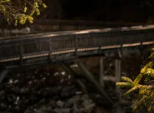 Step Up Your Hiking Game with Top-Notch Trekking Shoes 🚶‍♀️👟: Best Picks of the Season!