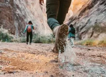 Discover the Fascinating Contrast Between Hiking and Trekking: Uncover the Distinctive Features