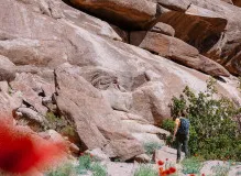 Discover the Best Men's Hiking & Trekking Boots for Unforgettable Adventures