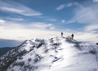 👣 Take Your Hiking Game to the Next Level with High-Quality Trekking Poles! 👌