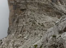 Get Ready to Hit the Trails - Find Your Perfect Pair of Trekking Poles 🏔️ for Your Next Hiking Adventure!