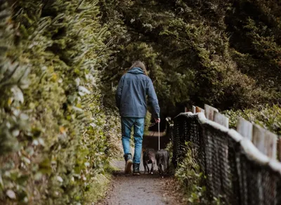 Discover the Top Trekking Poles for Hiking 🌲 - Enhance Your Outdoor Adventure Now!