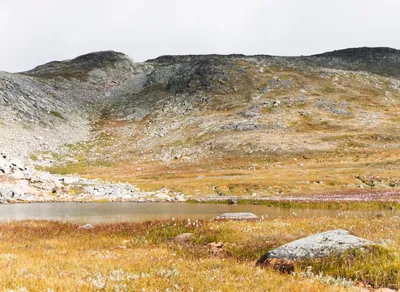 🚶‍♀️🏞️ Hiking vs Trekking: Unraveling the Key Differences You Need to Know!