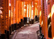 Discover the Key Differences: Walking, Hiking, and Trekking