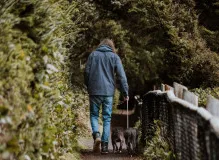 Discover the Top Trekking Poles for Hiking 🌲 - Enhance Your Outdoor Adventure Now!