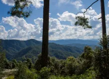 Conquer Any Trail with Confidence: Discover the Best Trekking Hiking Poles 🏔️🥾