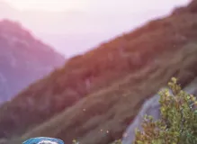 Get ready to conquer any trail with the best trekking poles for hiking 🥾🌲