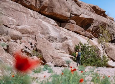 Discover the Best Men's Hiking & Trekking Boots for Unforgettable Adventures